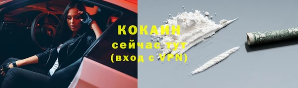 герыч Пересвет