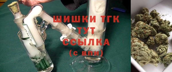 гашик Арсеньев