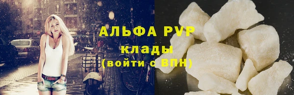 гашик Арсеньев