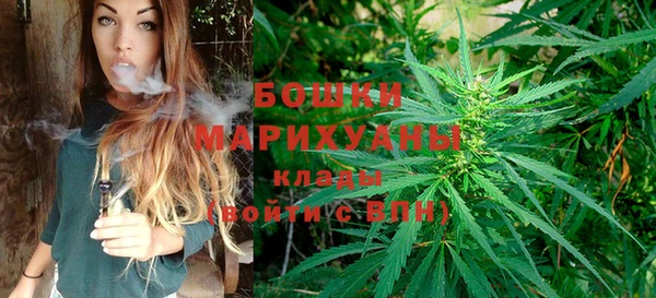 гашик Арсеньев