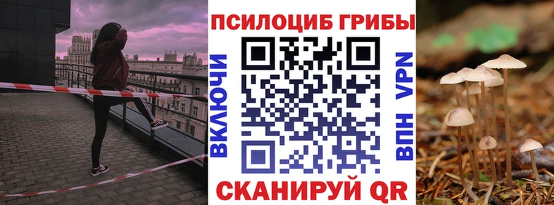 купить наркоту  Заречный  Псилоцибиновые грибы Magic Shrooms 